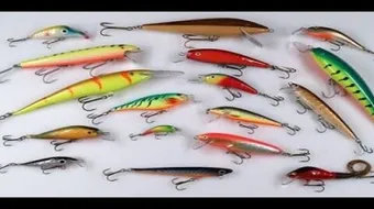 كيف تصنع طعماً لصيد السمك