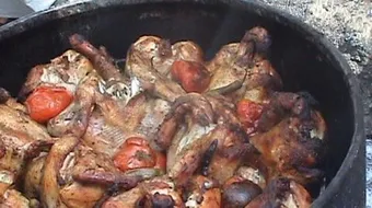 طريقة عمل زرب الدجاج