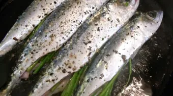 طريقة عمل صينية سمك فى الفرن