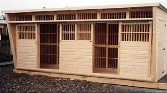 كيف تصنع بيتاً للحمام