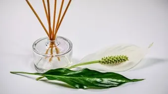 كيفية صنع معطر جو