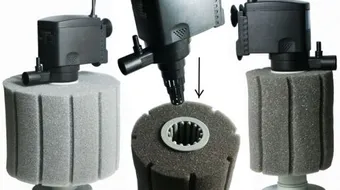 كيف تصنع فلتر لحوض السمك