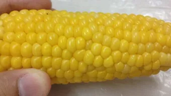 طريقة عمل الذرة المسلوقة