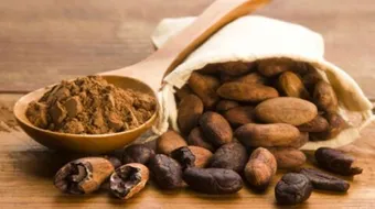 طريقة عمل زبدة الكاكاو