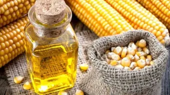 كيف يصنع زيت الذرة