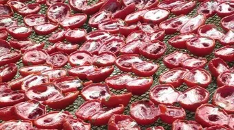 طريقة عمل طماطم مجففة