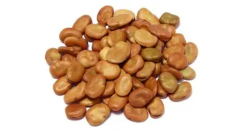 كيف يصنع الفول المدمس