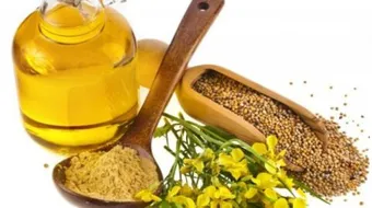 طريقة عمل زيت الحلبة