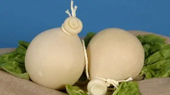 طريقة صنع جبنة القشقوان