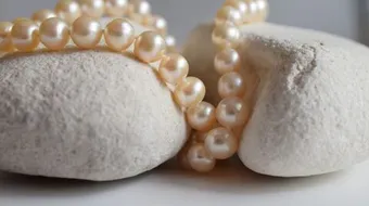 كيفية تكون اللؤلؤ الطبيعي