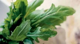 كيف أصنع زيت الجرجير في البيت