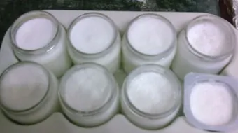 طريقة عمل الزبادي