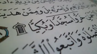 كيفية أداء السجدة في القرآن