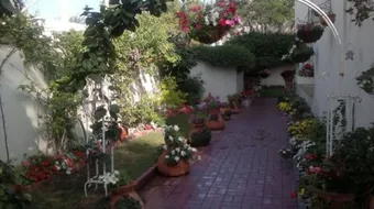 كيف أزرع حديقة بيتي