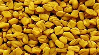 طريقة تحضير الحلبة لزيادة الوزن