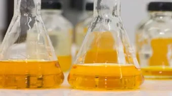 طريقة تحضير زيت الصوجا