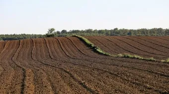 كيف تحافظ على التربة