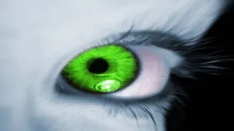 كيف أحفظ نفسي من العين والحسد