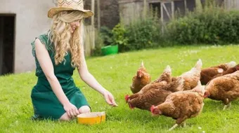 كيف يمكن حماية النباتات والحيوانات من الانقراض