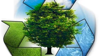 كيف نحافظ على البيئة من التلوث