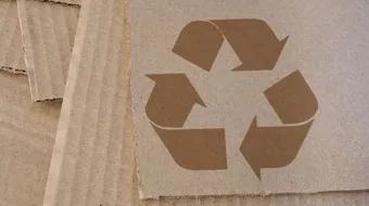 كيفية تدوير الورق والكرتون