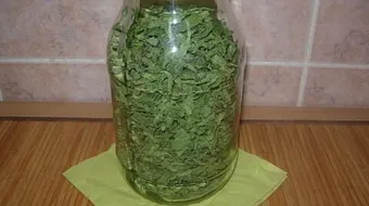 طريقة حفظ الملوخية