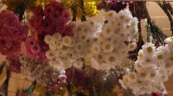 كيفية حفظ الورد الطبيعي