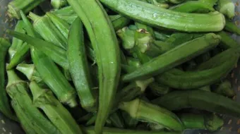 كيف أحفظ البامية في الفريزر