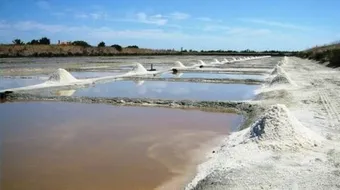 كيف يتم فصل الملح عن الماء