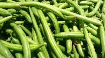 طريقة تفريز الفاصوليا الخضراء