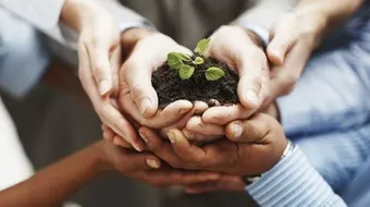 كيف أبدأ مشروع صغير ناجح