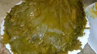 طريقة تخزين ورق الكرنب