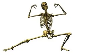 كيف تقوي العظام