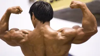 كيفية تقوية العضلات