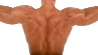 كيف تقوي عضلات الظهر