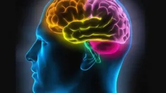 كيف تقوي ذاكرتك وتحسن الحفظ لديك