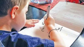 كيف تدرس اللغة العربية