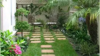 كيفية الاعتناء بالزرع المنزلي