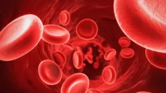 كيف أعالج فقر الدم بسرعة