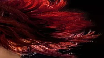 كيف أعالج شعري التالف من الصبغات