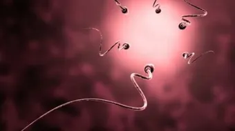 كيفية علاج ضعف الحيوان المنوي