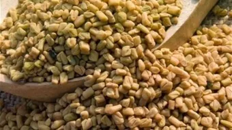 طريقة استعمال الحلبة للتسمين