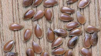 طريقة استخدام بذرة الكتان لتخفيف الوزن