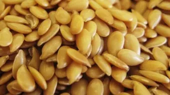 طريقة استخدام بذرة الكتان