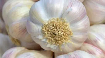 طريقة استخدام الثوم لإنبات الشعر