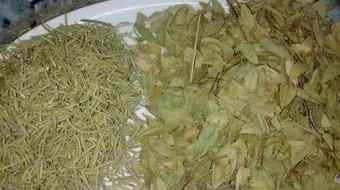 كيفية استخدام ورق السدر للشعر