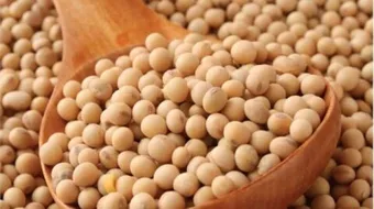 طريقة استخدام فول الصويا