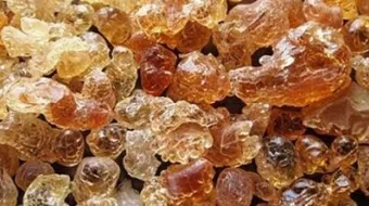 طريقة استخدام الصمغ العربي السوداني