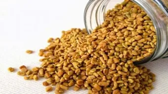 طريقة استخدام الحلبة