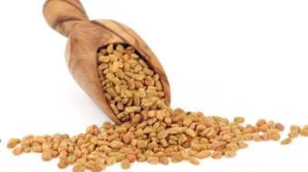 كيفية استعمال الحلبة لزيادة الوزن